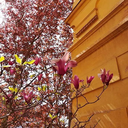 게스트하우스 The Villa, Center *