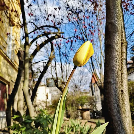 The Villa, Center * Liubliana