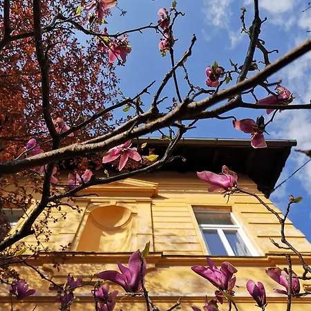 בית הארחה The Villa, Center