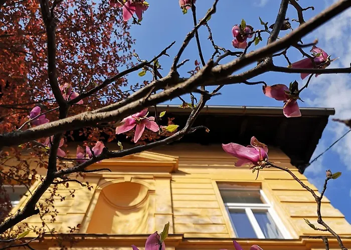 Guest house The Villa, Center