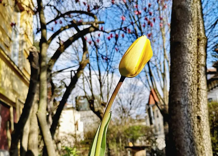 The Villa, Center * Ljubljana