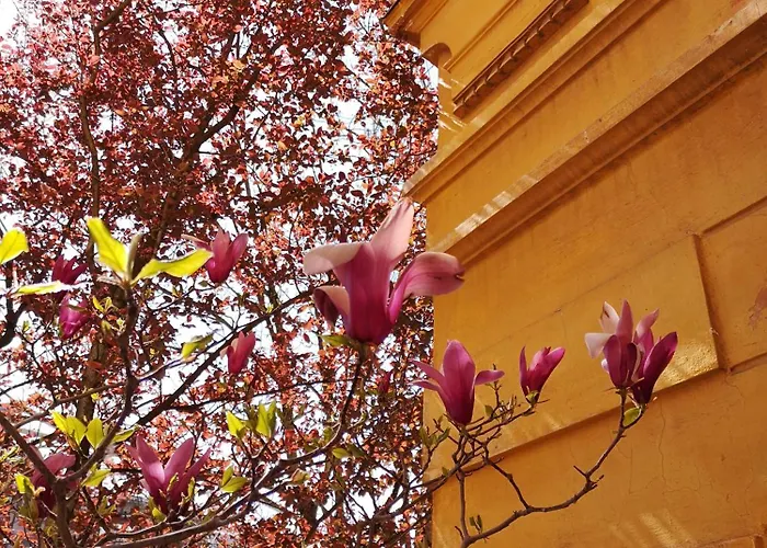 Guest house The Villa, Center *